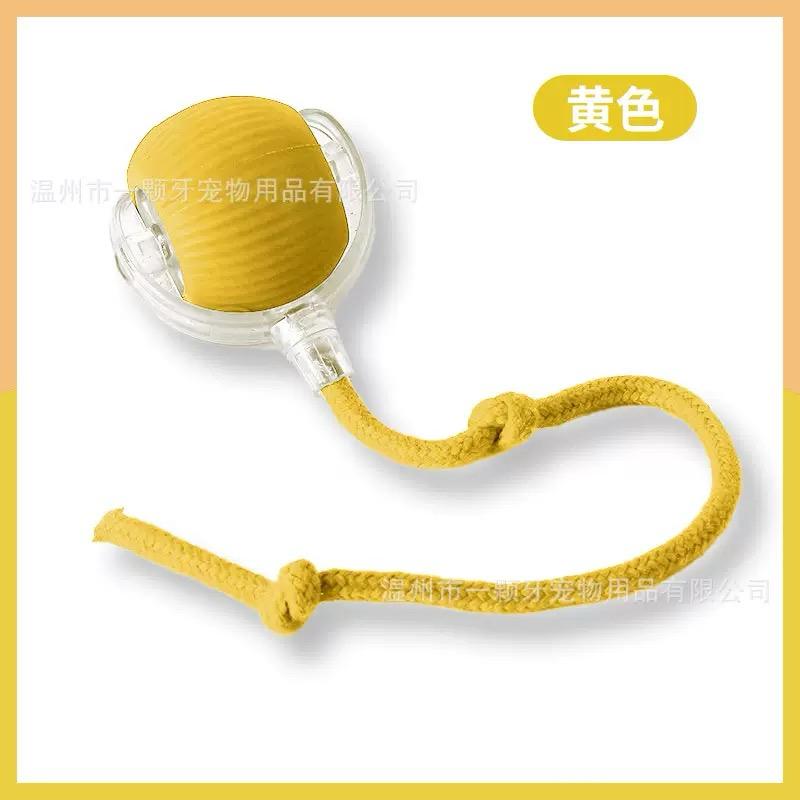 Interactive Rolling Ball Cat Toy with Tail - Indoor Play Toy