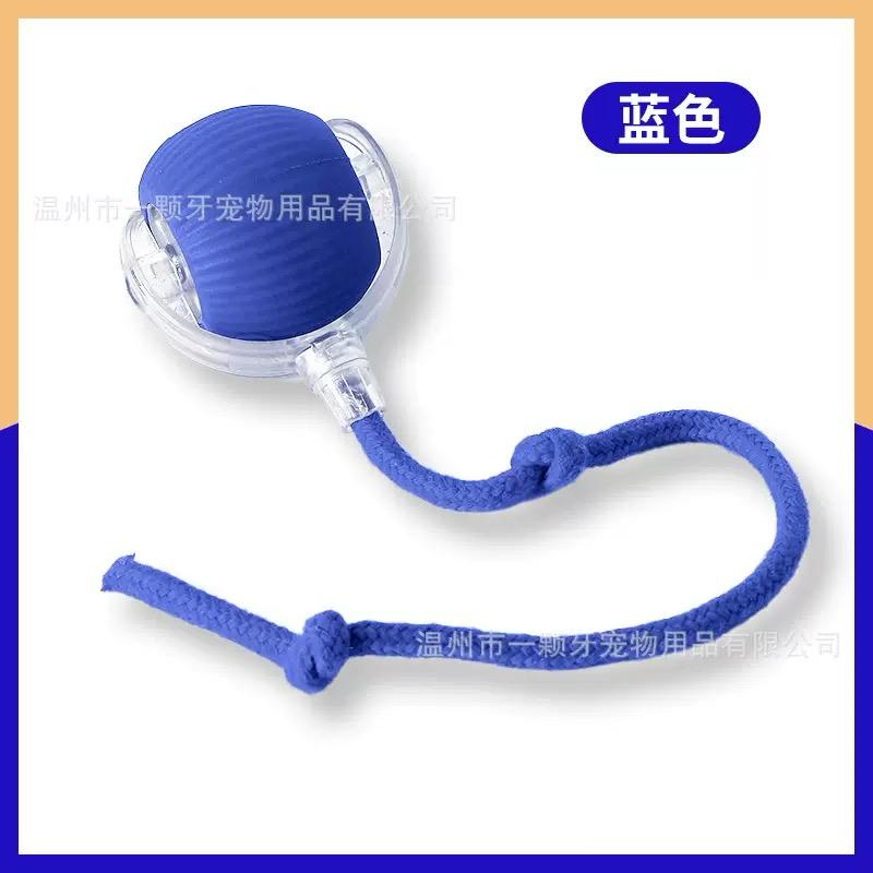 Interactive Rolling Ball Cat Toy with Tail - Indoor Play Toy
